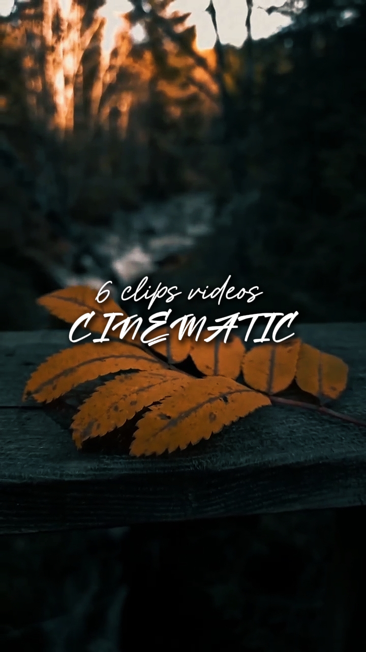 6 clips vidéo 