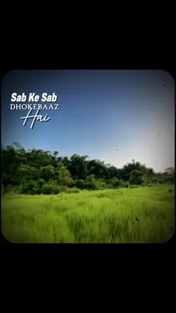 Sab Ke Sab Dhokebaaj