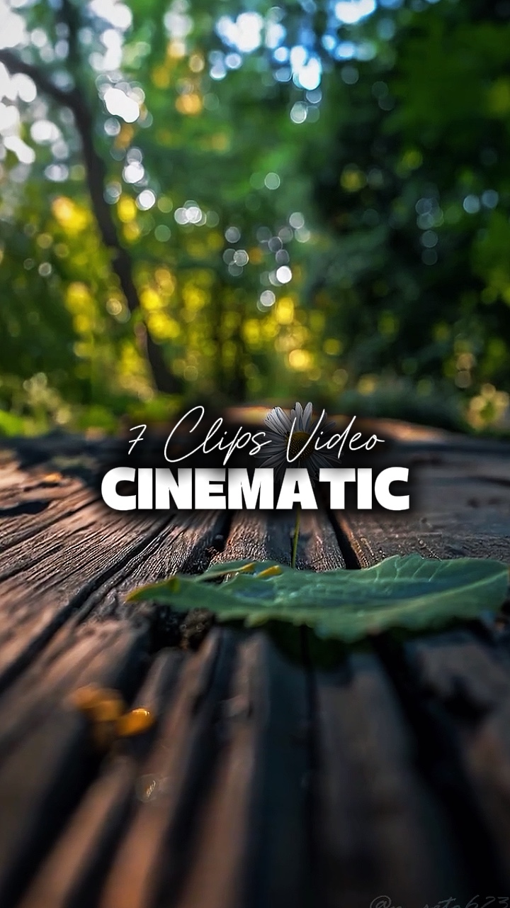 7 CLIPS VIDEO 