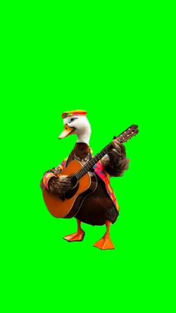 Goose plays guitar