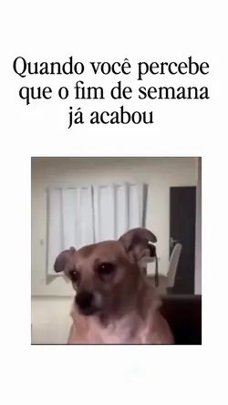 Fim de semana acabou