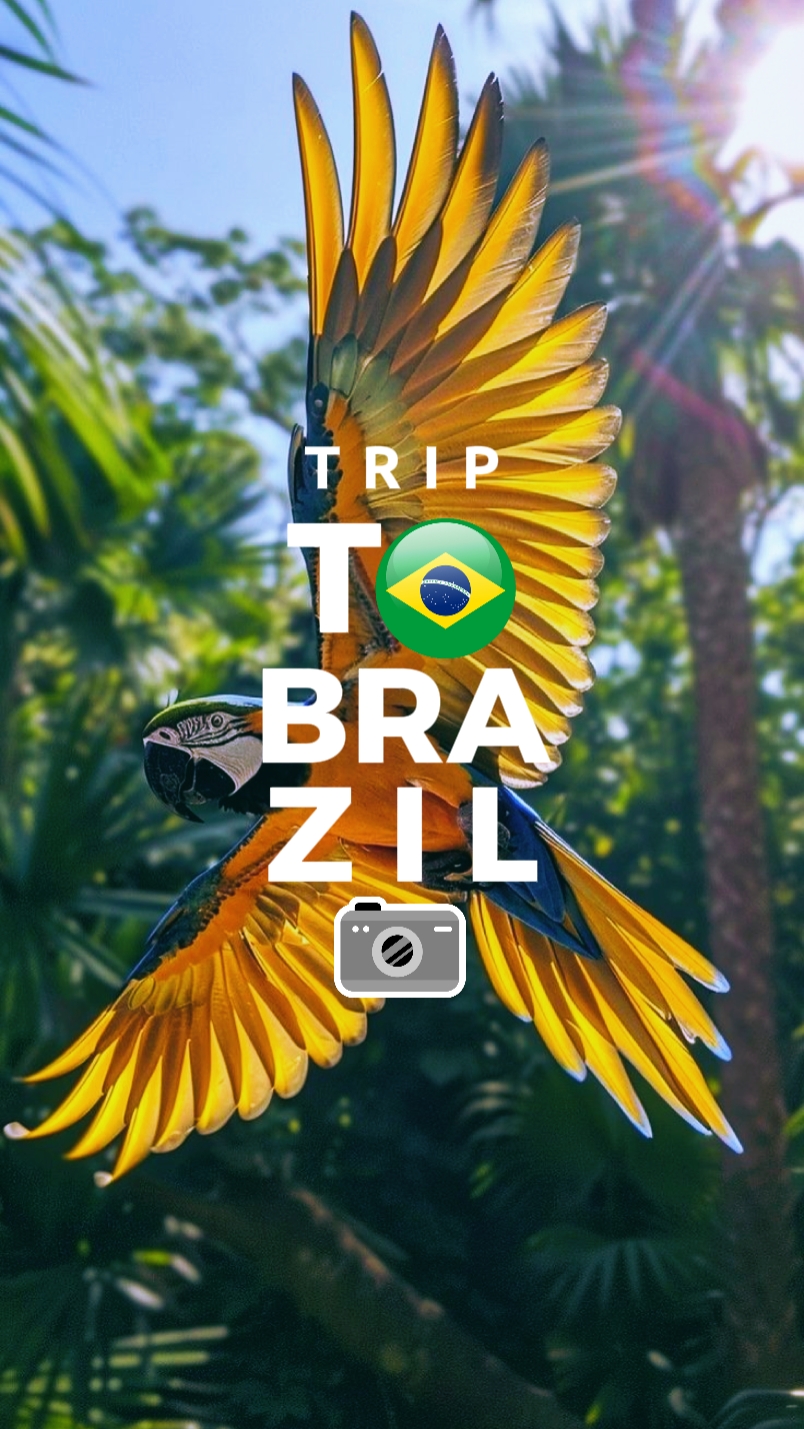 Viaje A Brasil