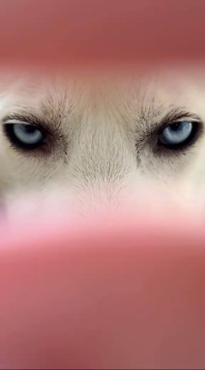 tendance des yeux de l'océan