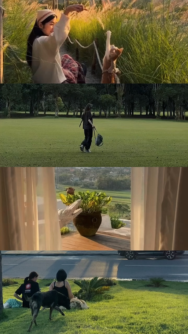 grid video aesthetic