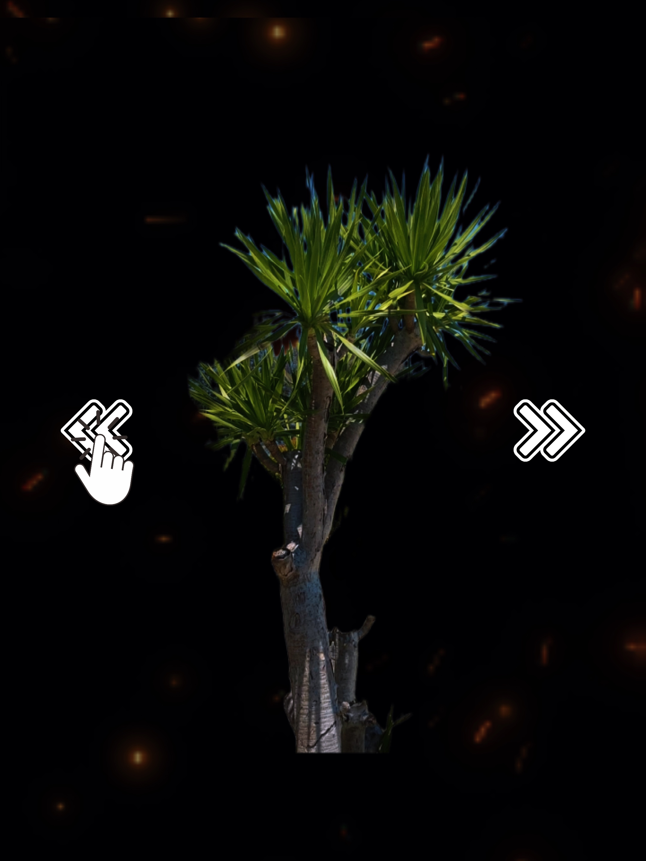 MONTAGEM AURA 