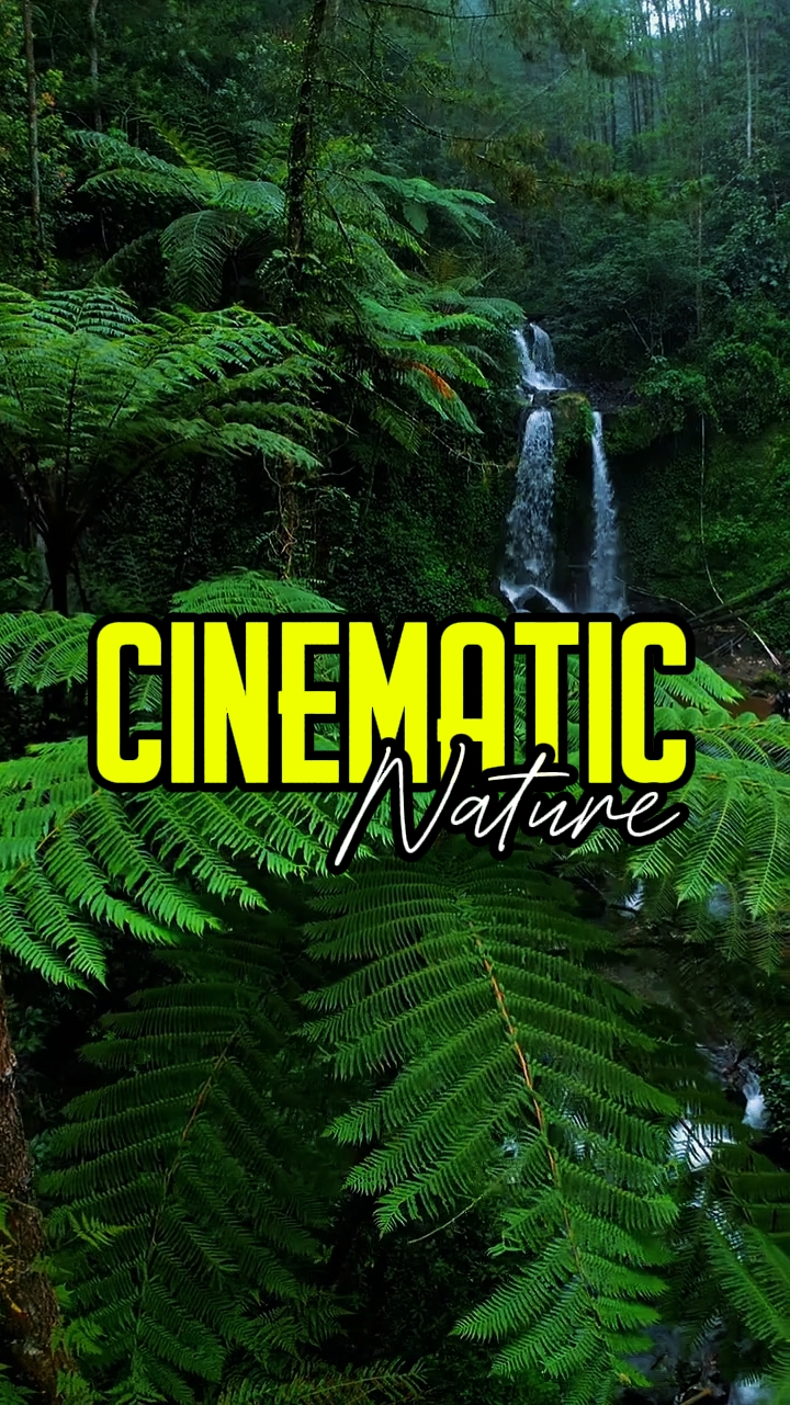 CINEMATIC