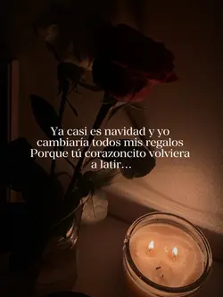 Ya es navidad…💔🕊️