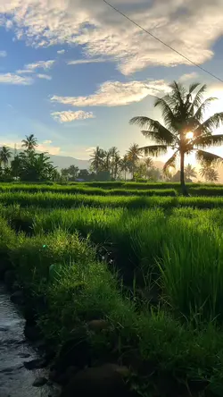 pagi hari yang indah