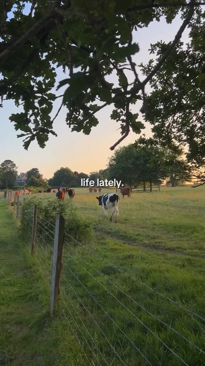 hey, it's country