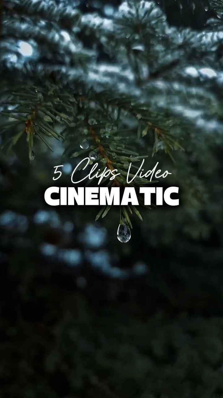 5 Clips Video