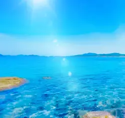 海
