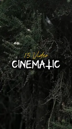15 Video Clip