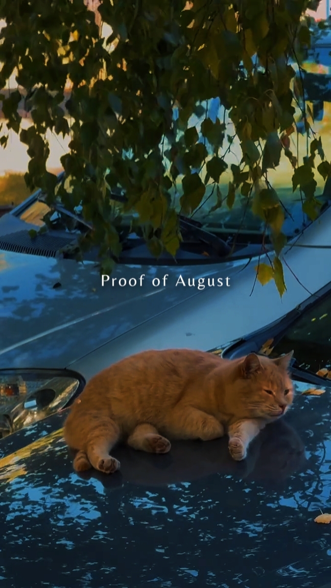 Prueba de agosto 