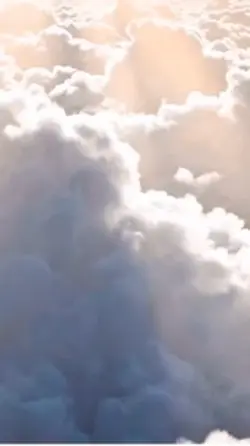 小白菜🥬