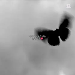 흑백 감성 사진 나눔