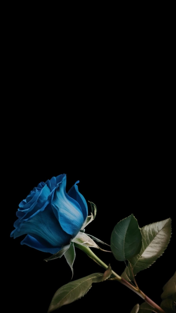Blaue Rose