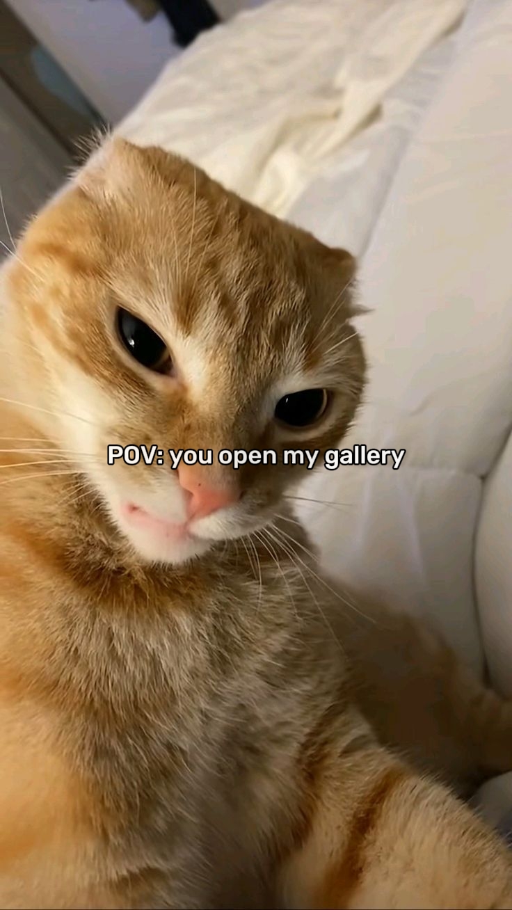 you open my gallery 