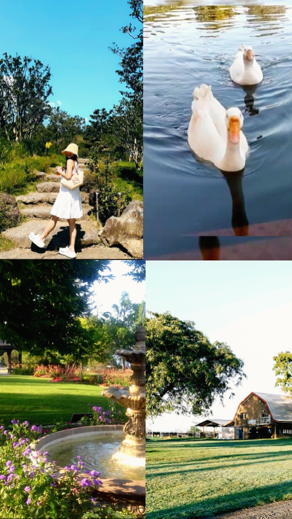 3 pict and 1 video