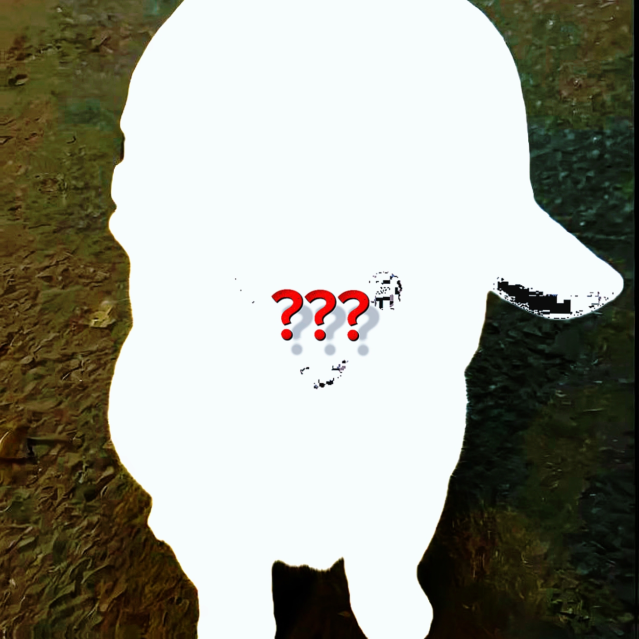 KEDİ SALDIRIYOR GÖR 
