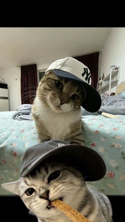Uso na pusa