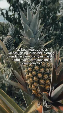 ga koar koar