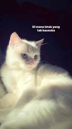 Apa mungkin