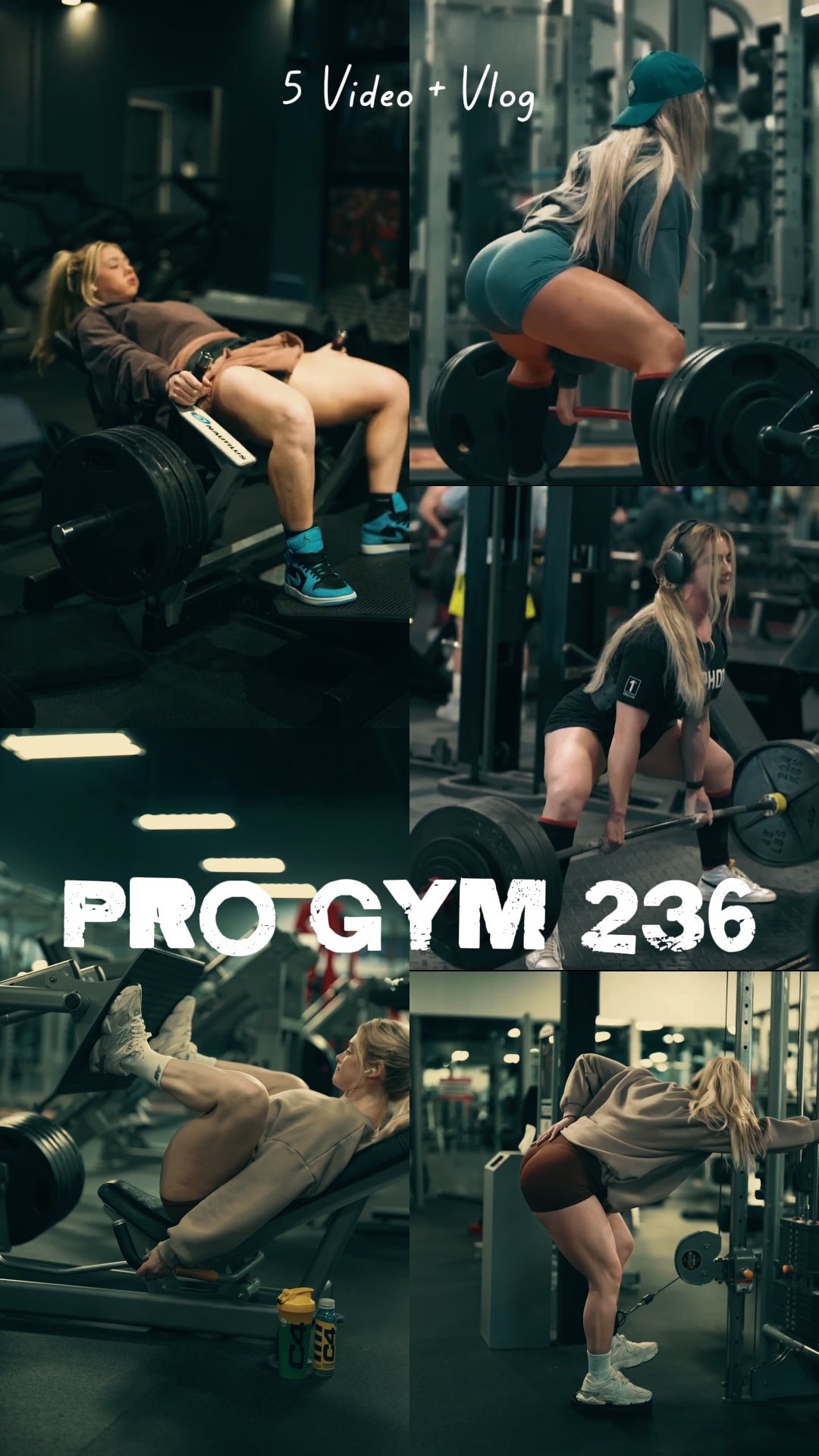 GIMNASIO PROFESIONAL | 5 VIDEOS