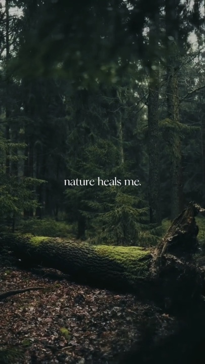 NATURE 2 VIDÉOS