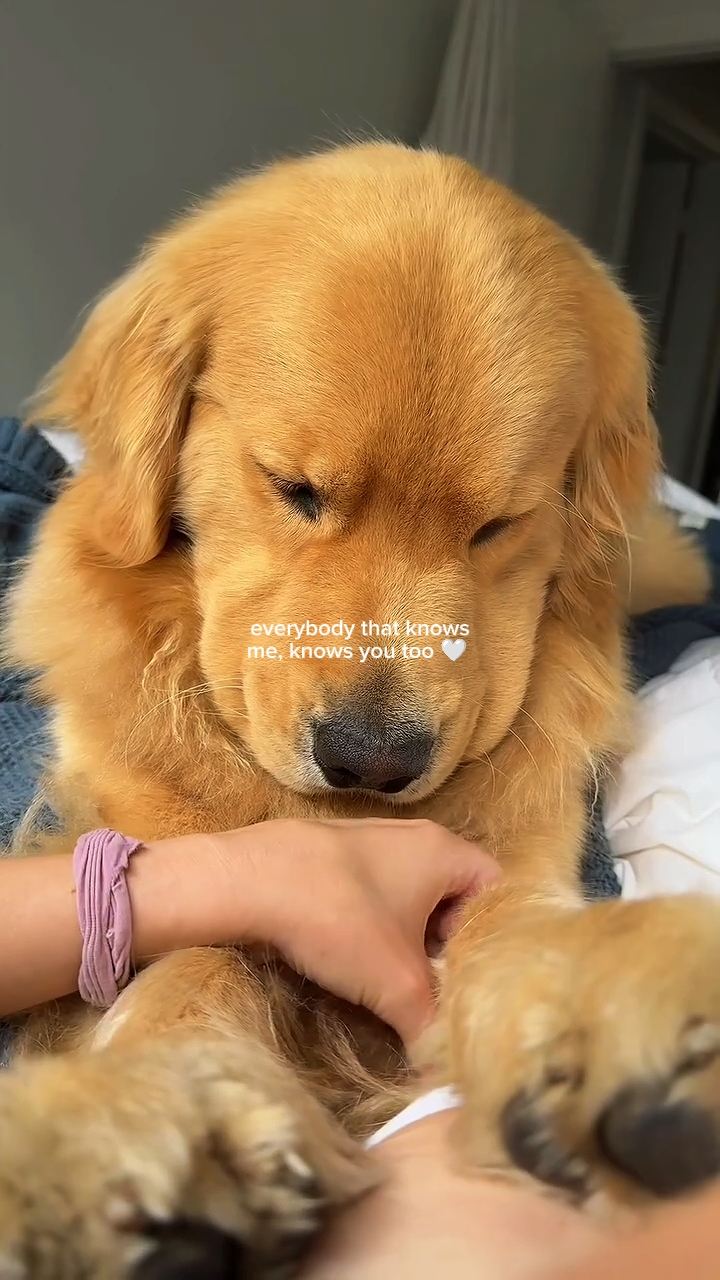 knows you too 