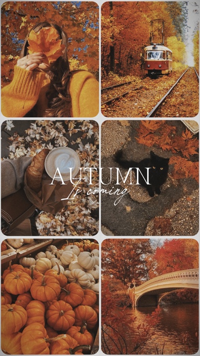 AUTUMN IS COMING🍂