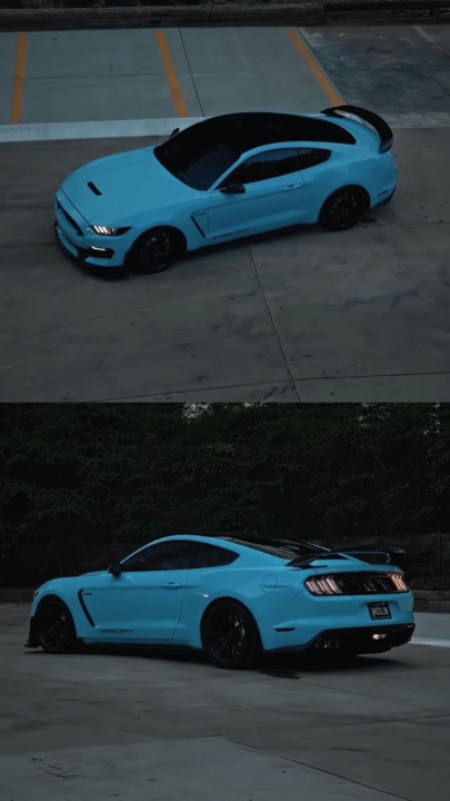 Mustang🔥🔥