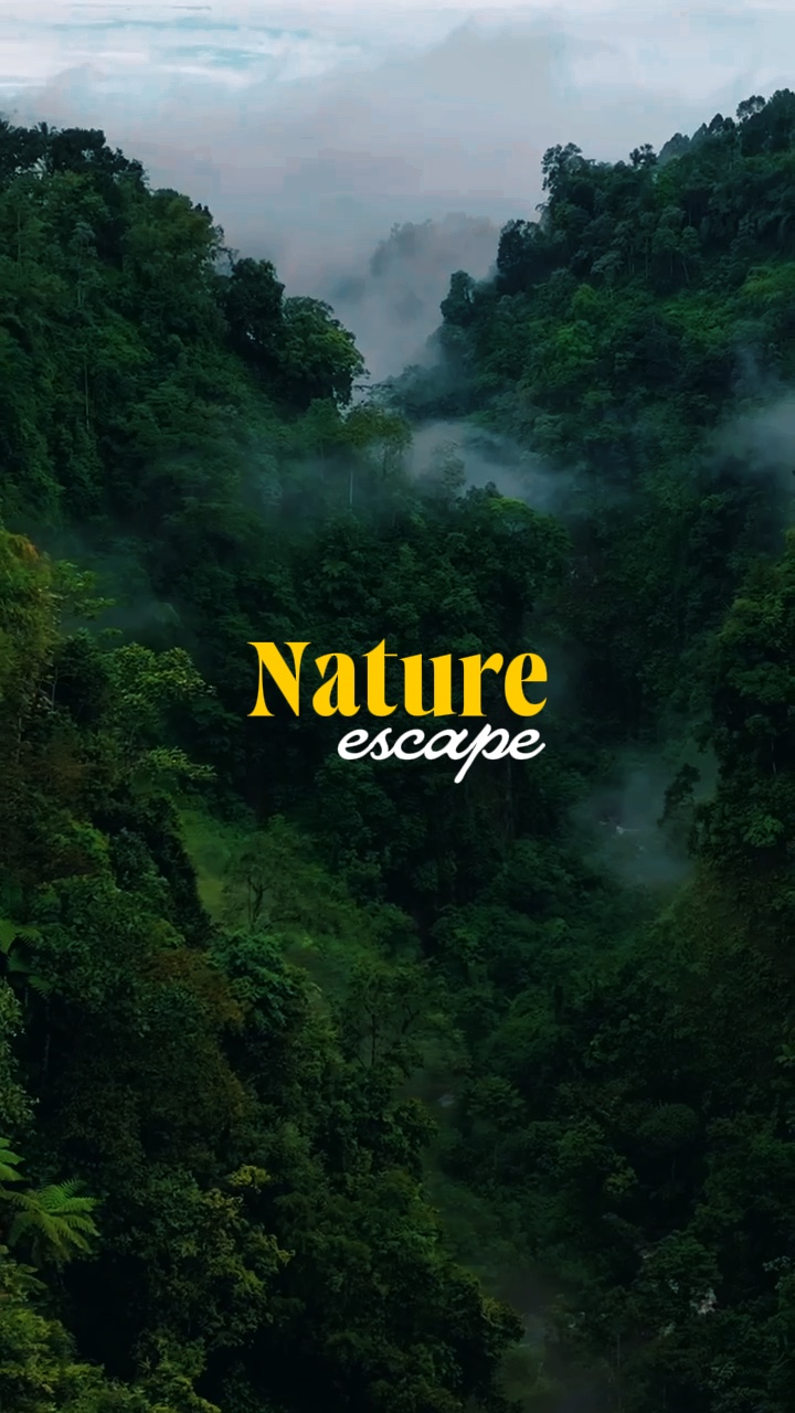Nature escape 