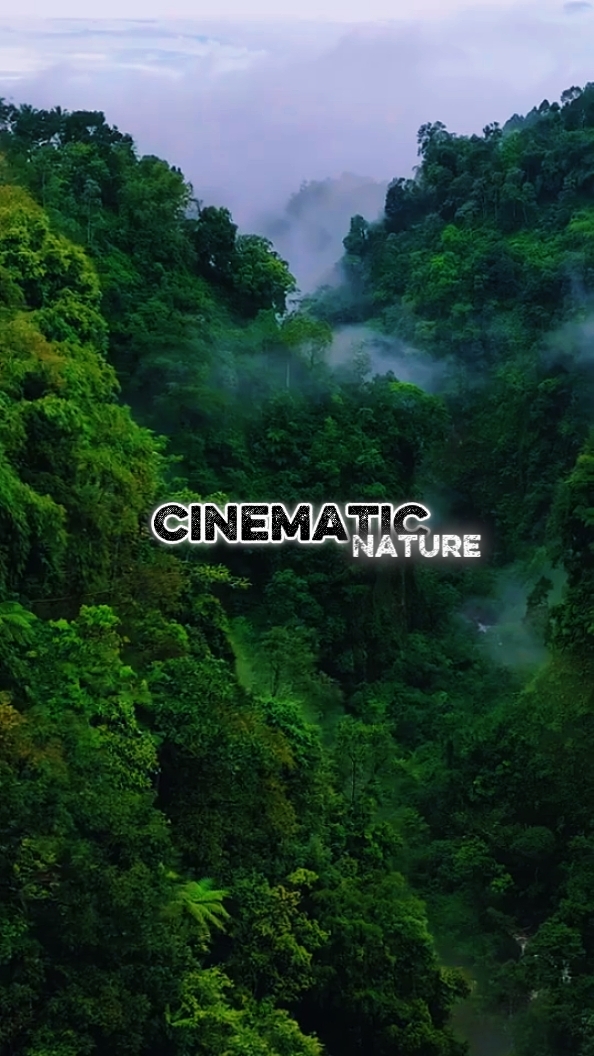 Cinématique 7 Clips 