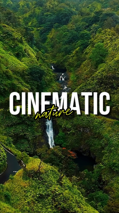 NATURE CINÉMATIQUE