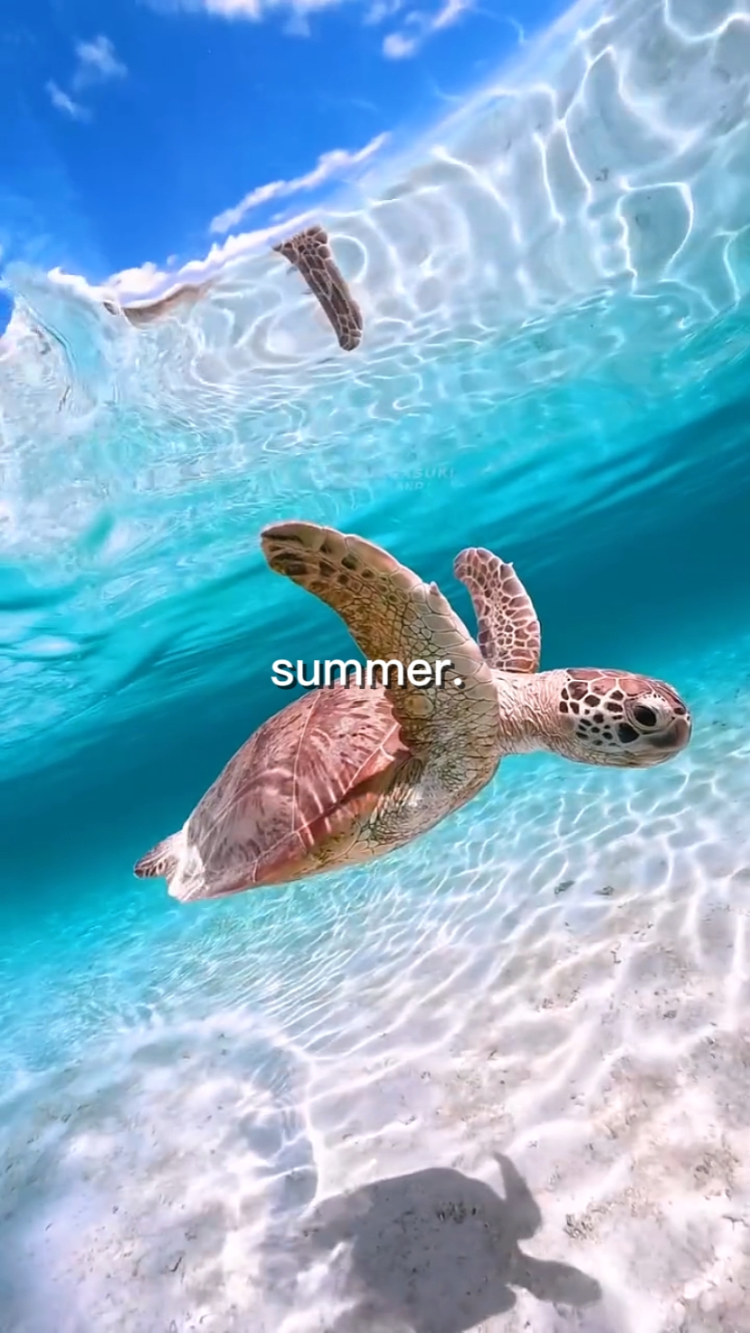 été