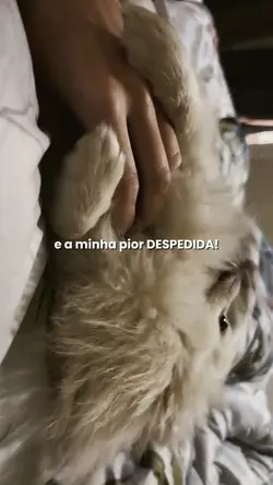 Mostre sua saudade