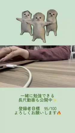 猫ミームで登録者爆増🔥