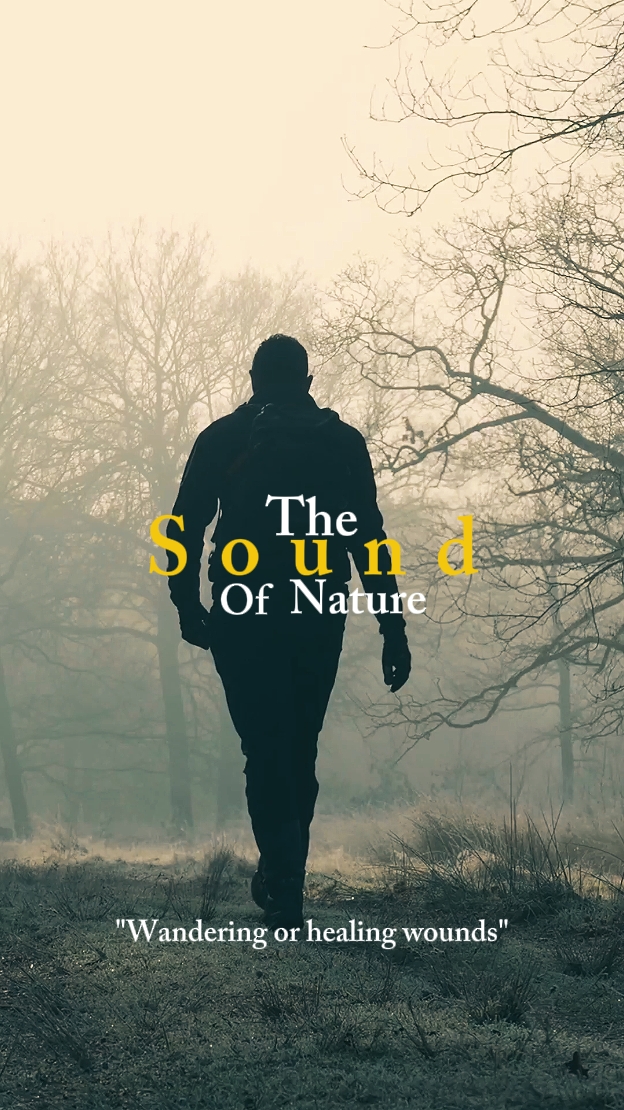 The Sound Of Nature 