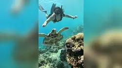 TravelTeaser Montage