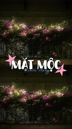 Mặt Mộc