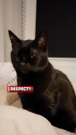 Respect, power!!