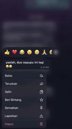 duo sepupu ni lagi
