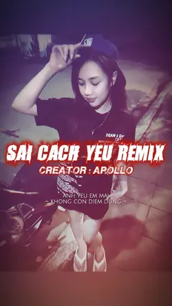 SAI CÁCH YÊU REMIX