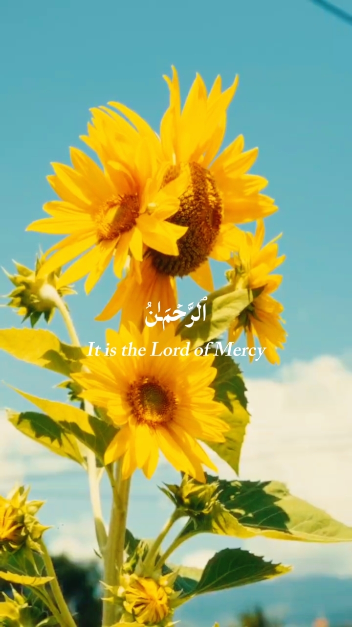 Surah Ar Rahman