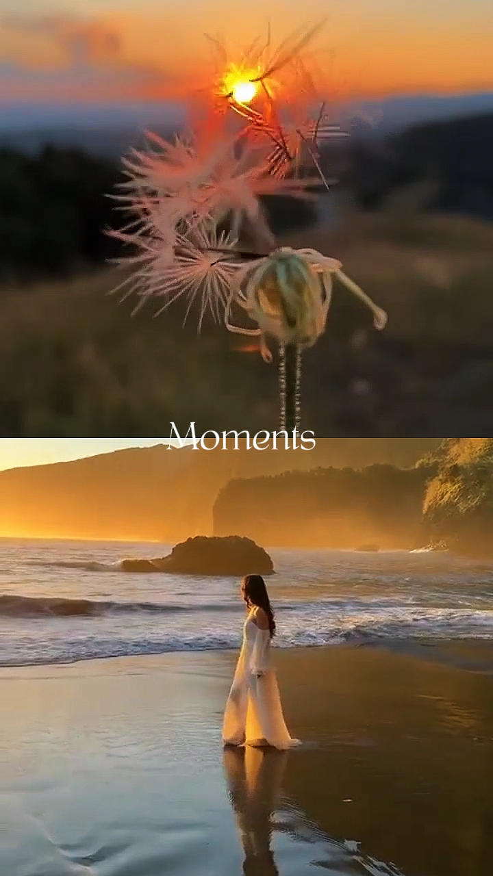 Hermosos Momentos 