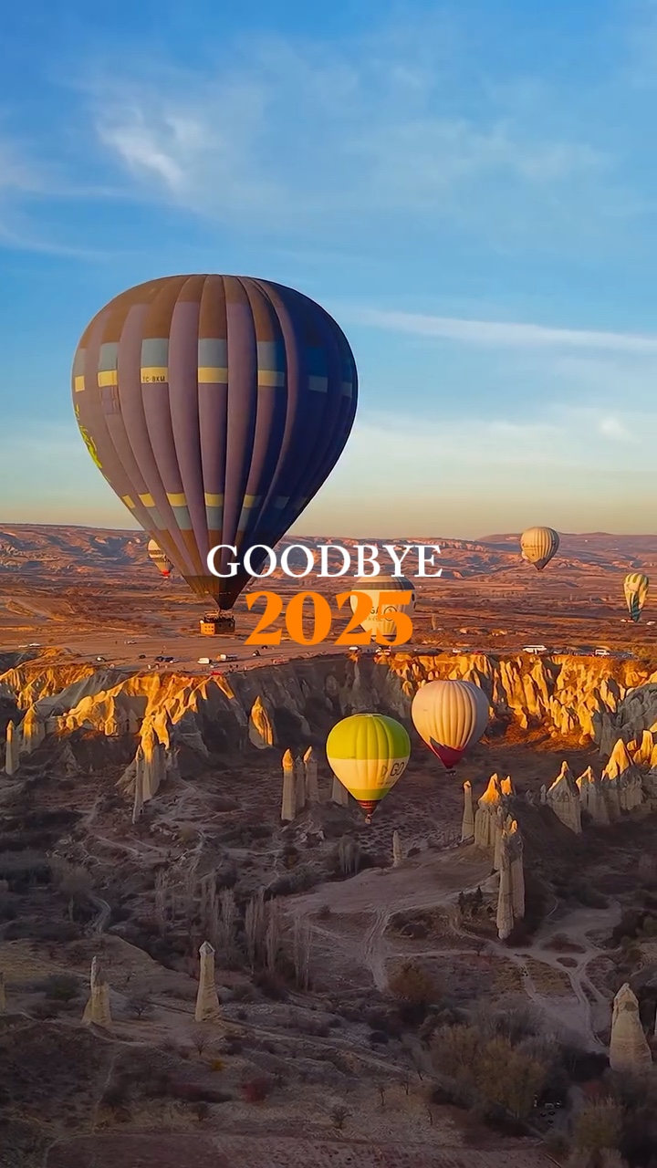 Adiós 2025 
