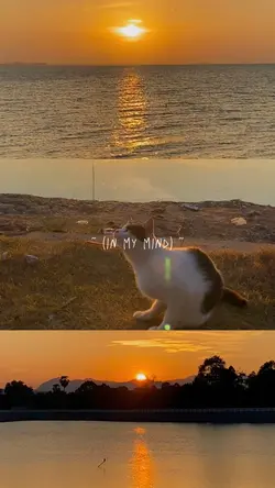 Sunrise & sunset 