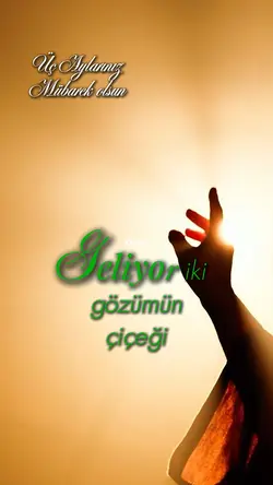 Üç Aylar
