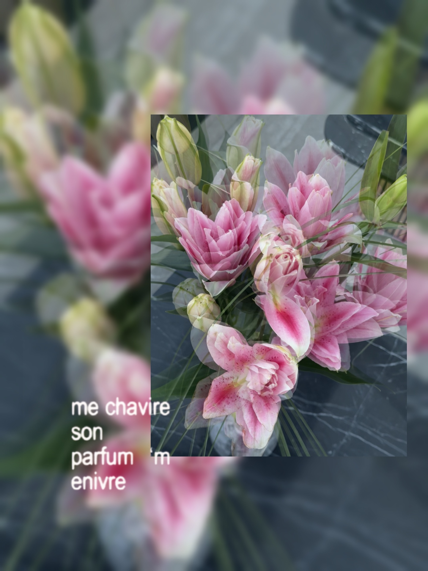Mon avenier 