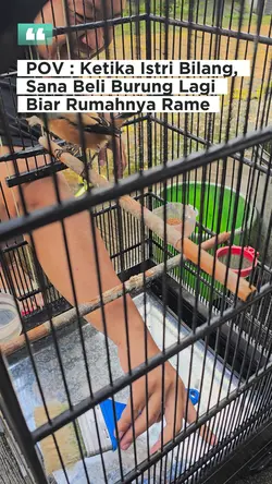 Manuk70-Omkumiskicau